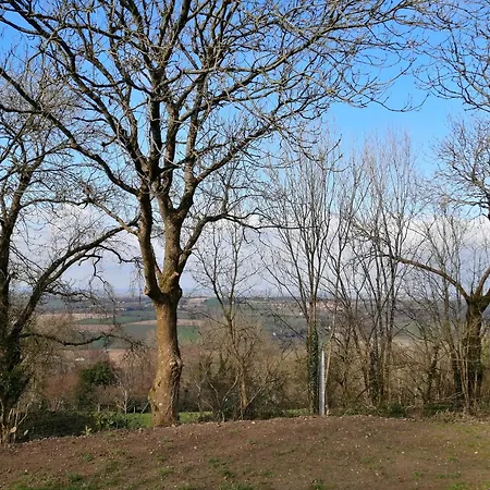 Le Calme Zen